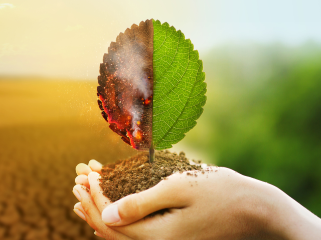 Trend Klimaatneutraal als nieuw normaal